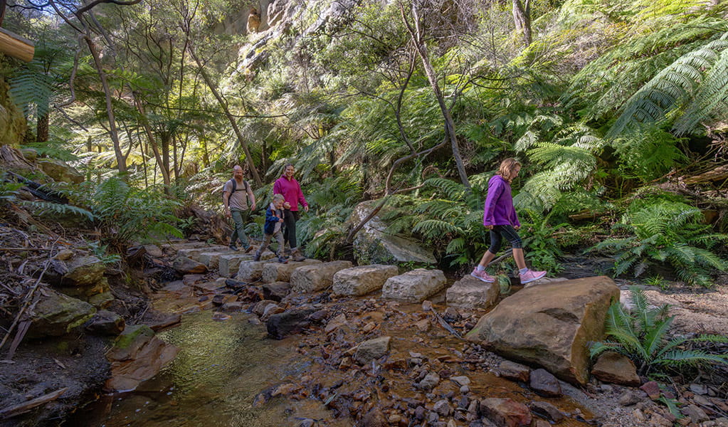 A family using stepping stones to cross Tunnel Creek on the Glow Worm Tunnel walking track, Wollemi National Park. Credit: John Spencer &copy; DCCEEW