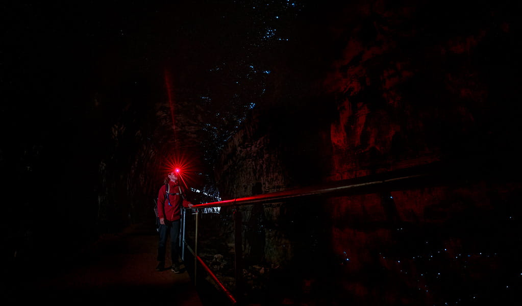 A person using a red light torch inside the tunnel to see Glow Worms along the Glow Worm Tunnel walking track. Credit: John Spencer &copy; DCCEEW