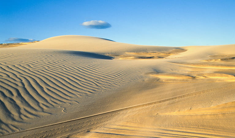 Sand Dune Adventures Quad Bike Tour Nsw National Parks