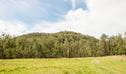 Mountain Arm campground, Yengo National Park. Photo: John Spencer/DPIE