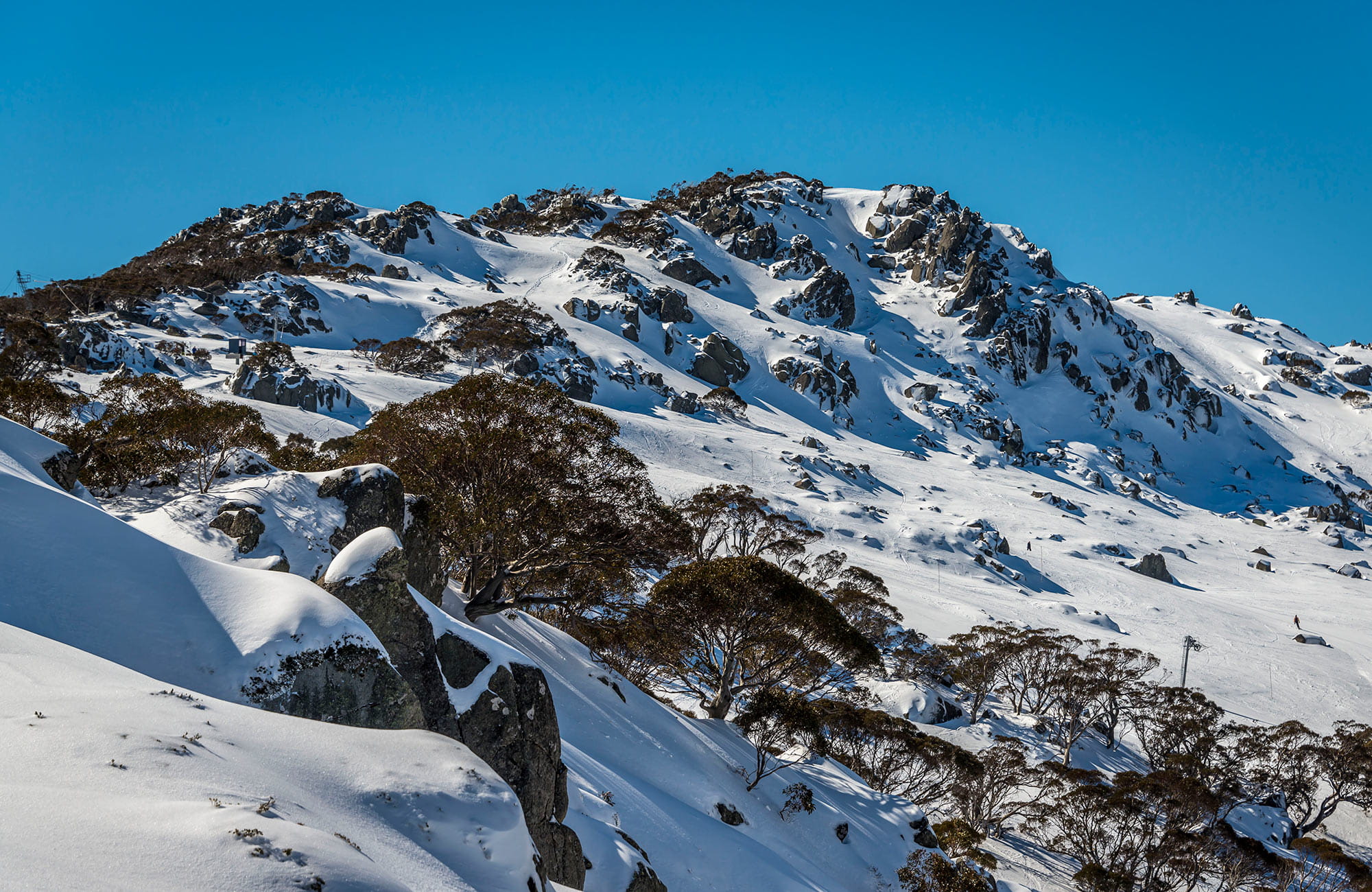 Snowy Mountains NSW National Parks