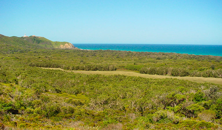View of Arakwal National Park. Photo: N Graham