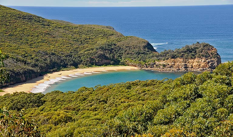 Bouddi Coastal Walk | Learn More | NSW National Parks