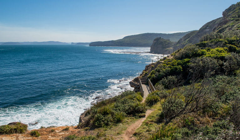 Bouddi Coastal Walk | Learn More | NSW National Parks