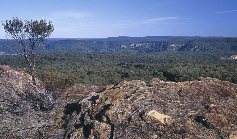 Goulburn River National Park | Learn More | NSW National Parks