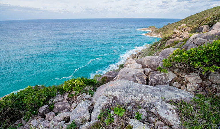 hat head fishing spots