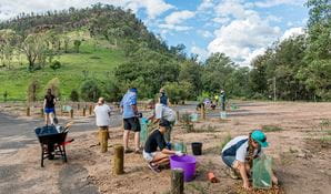 Volunteers participating in bush regeneration, Warrambungle National Park. Photo: John Spencer