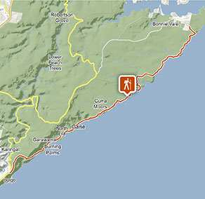 Royal National Park Walks Map Royal Coast Track | Map | Nsw National Parks