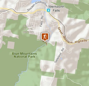 Wentworth Falls track | Visitor info | NSW National Parks