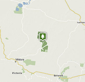 mungo national park map Mungo National Park Map Nsw National Parks mungo national park map