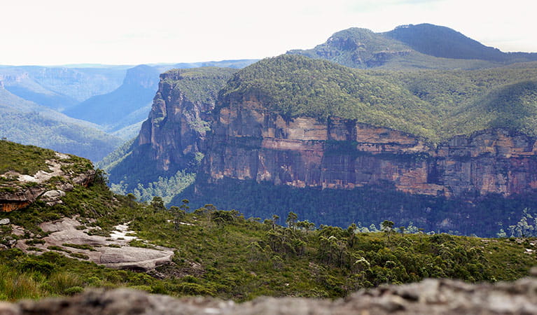 Blue Mountains National Park | NSW National Parks