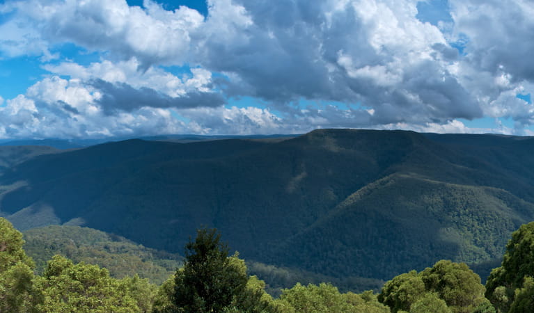 Barrington Tops National Park | NSW National Parks