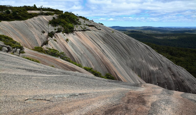 Bald Rock walking track | NSW National Parks