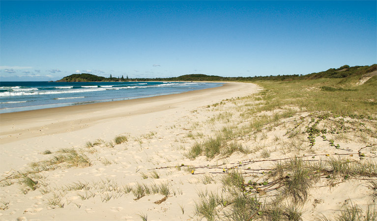 Plomer Beach House | NSW National Parks