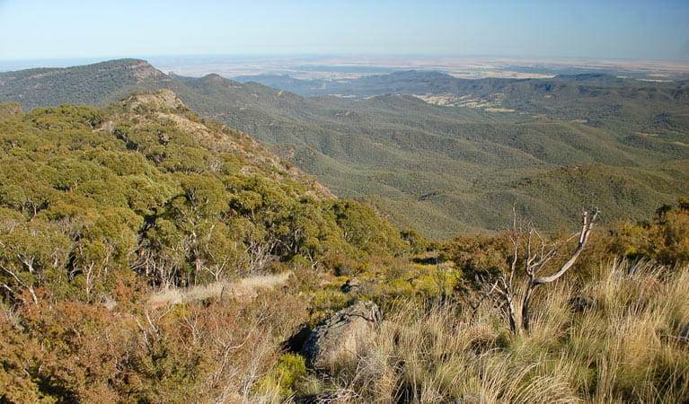 Mount Kaputar summit lookout | NSW National Parks