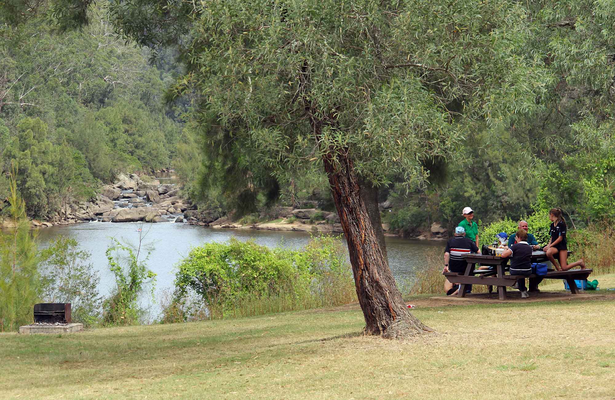 bents-basin-road-picnic-area-nsw-national-parks