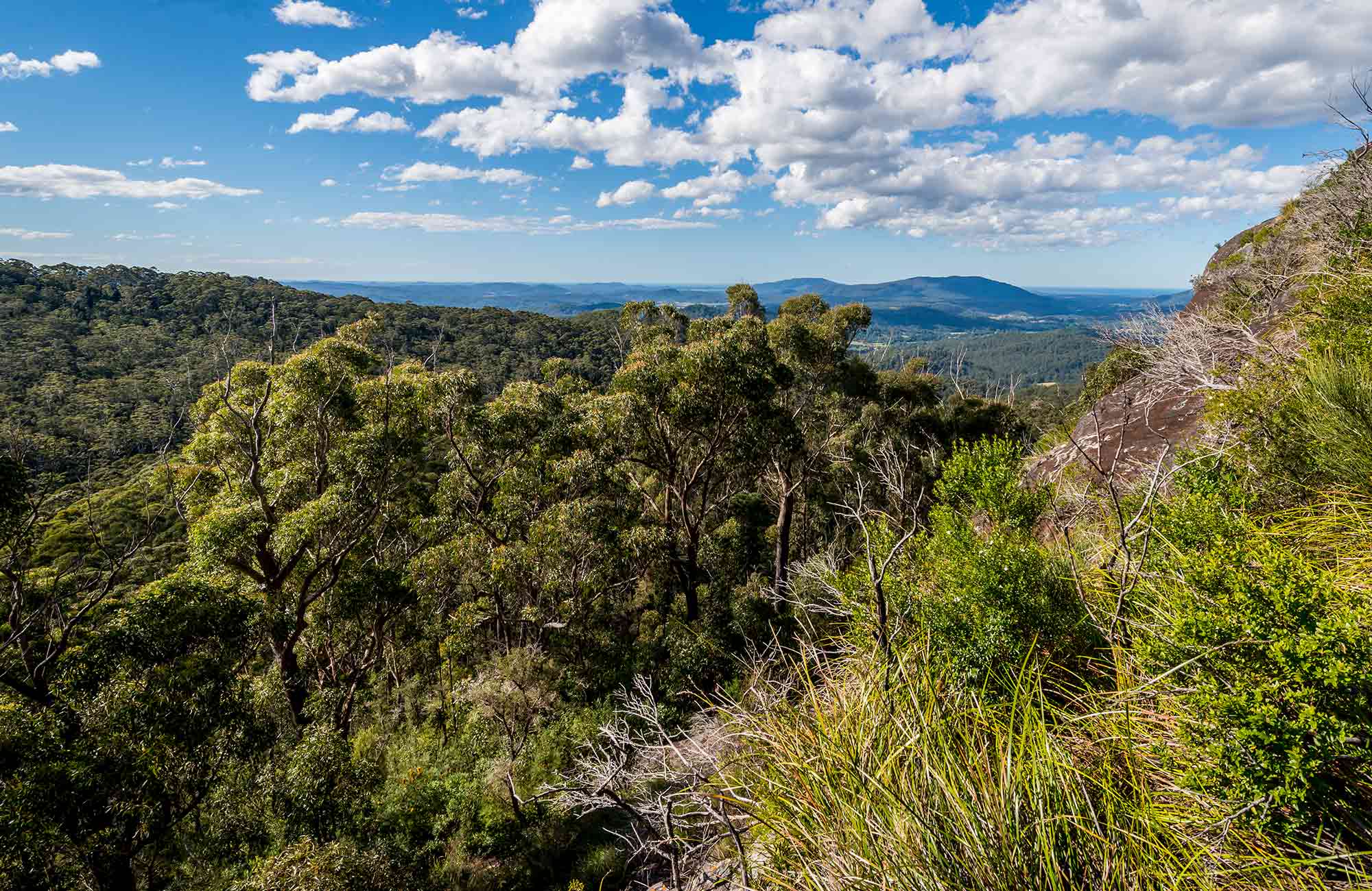 Big Nellie lookout and picnic area | NSW National Parks