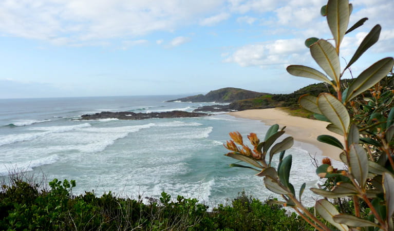 Point Plomer campground | NSW National Parks