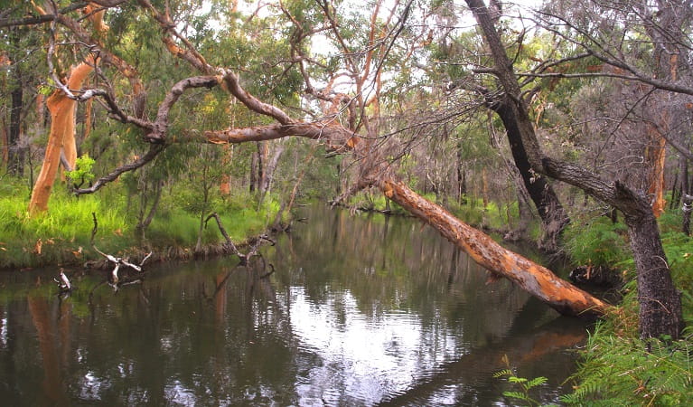 Lake Macquarie State Conservation Area | NSW National Parks