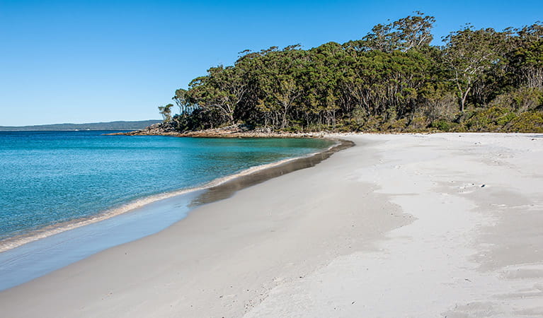 Jervis Bay National Park | Learn more | NSW National Parks