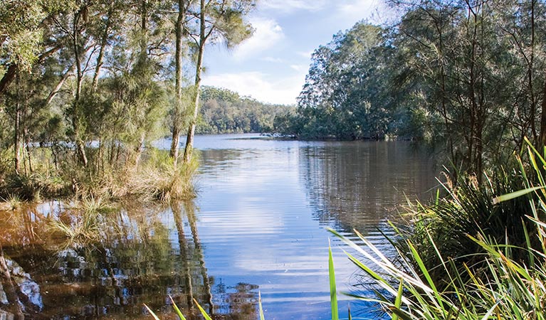 Rivermouth Campground 