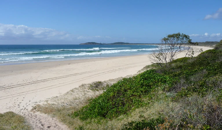 Point Plomer campground | NSW National Parks