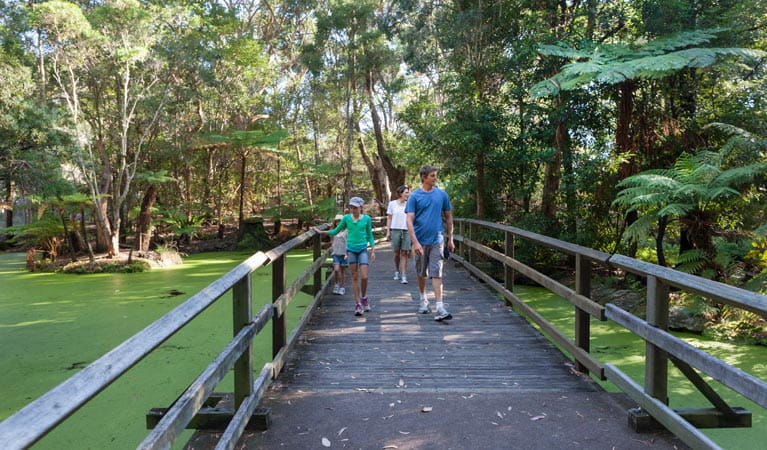 Ku-ring-gai Chase National Park | NSW National Parks