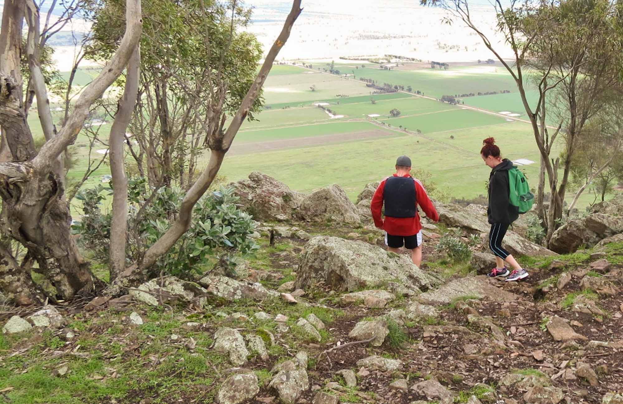 Yerong walking track | NSW National Parks