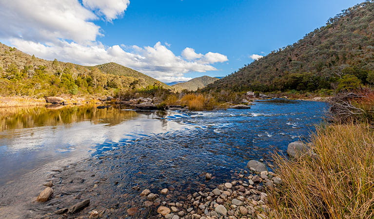 kosciuszko-national-park-nsw-national-parks