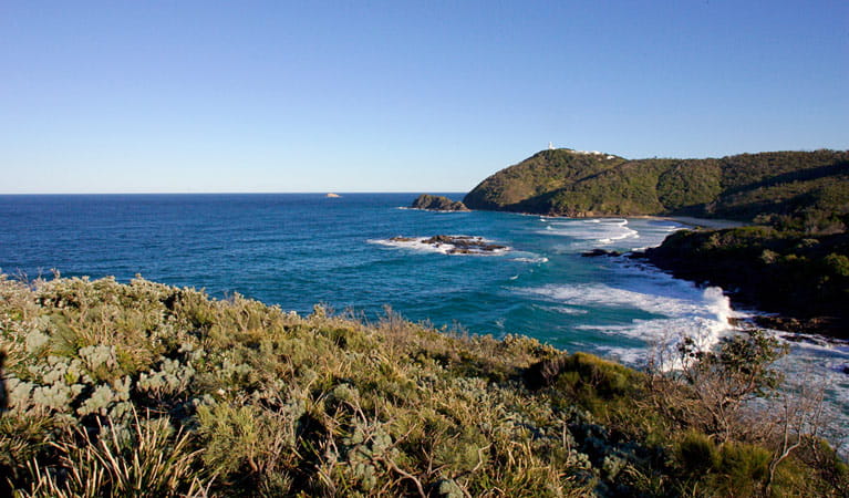 Hat Head National Park | NSW National Parks