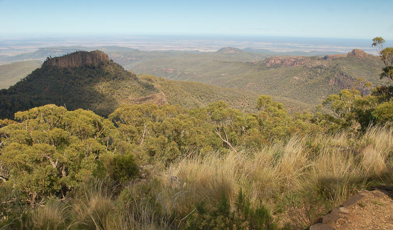 Mount Kaputar National Park | NSW National Parks