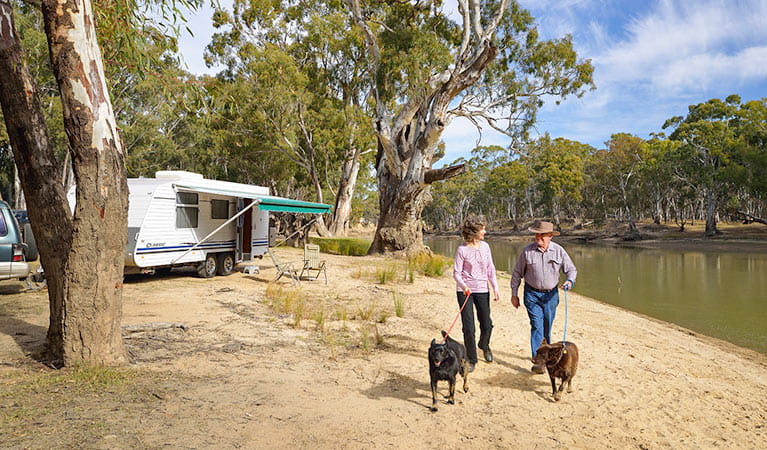 Campgrounds Near Casino Nsw