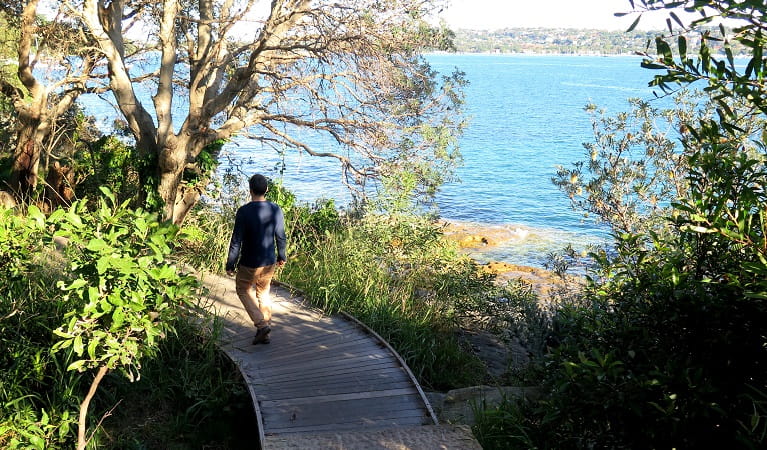 Auckland Foreshore Heritage walk. Glebe Foreshore walk. Shark walk in a Park.