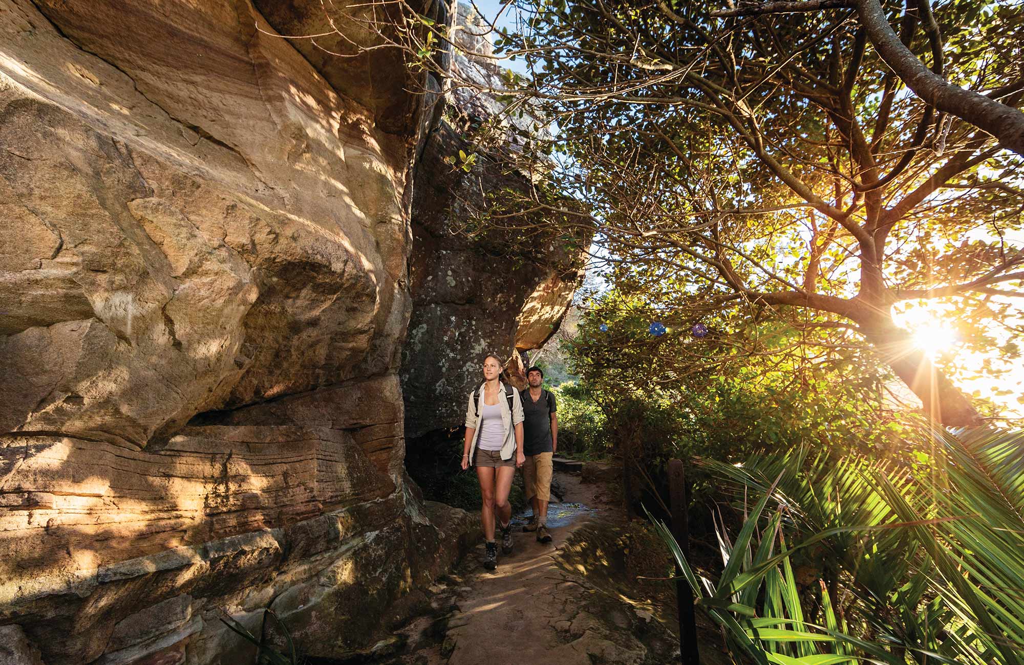 Bushwalking personality quiz | NSW National Parks