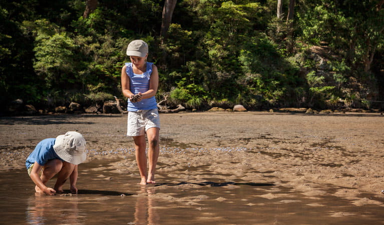 Ku-ring-gai Chase National Park | NSW National Parks