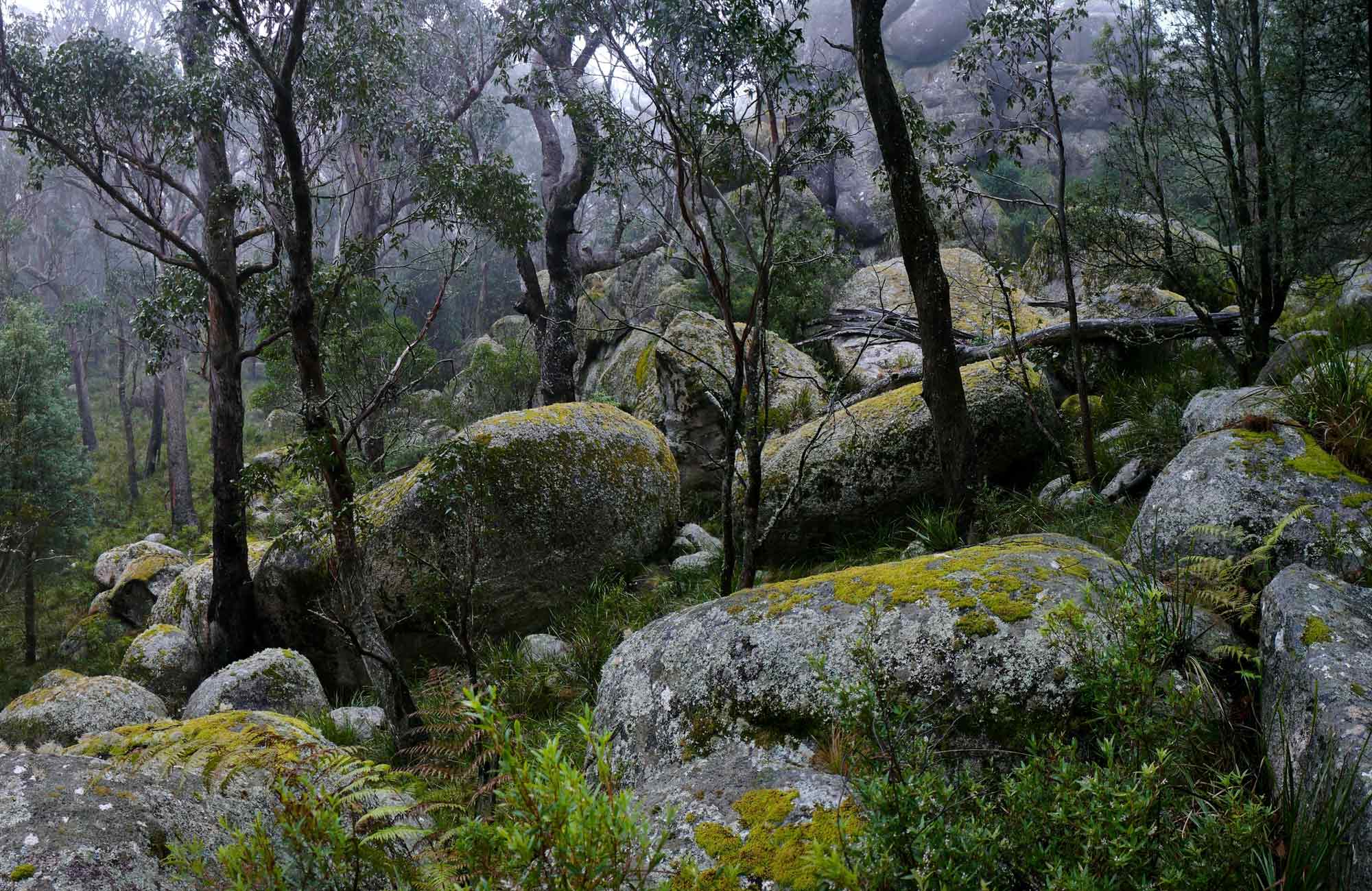 Cathedral Rock National Park | NSW National Parks