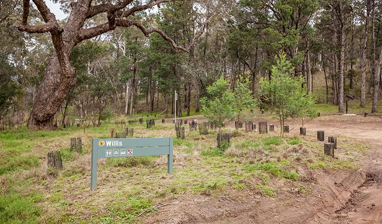 Kosciuszko National Park | NSW National Parks