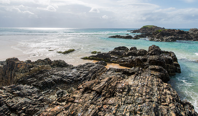 Racecourse campground | Learn more | NSW National Parks