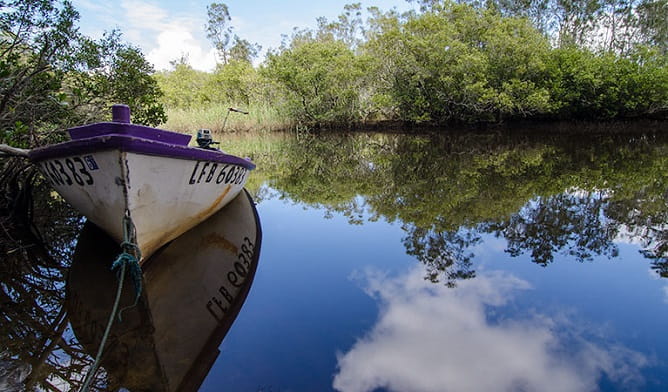 Mungo Brush campground | Learn more | NSW National Parks