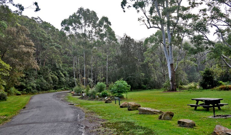 Lane Cove National Park | NSW National Parks