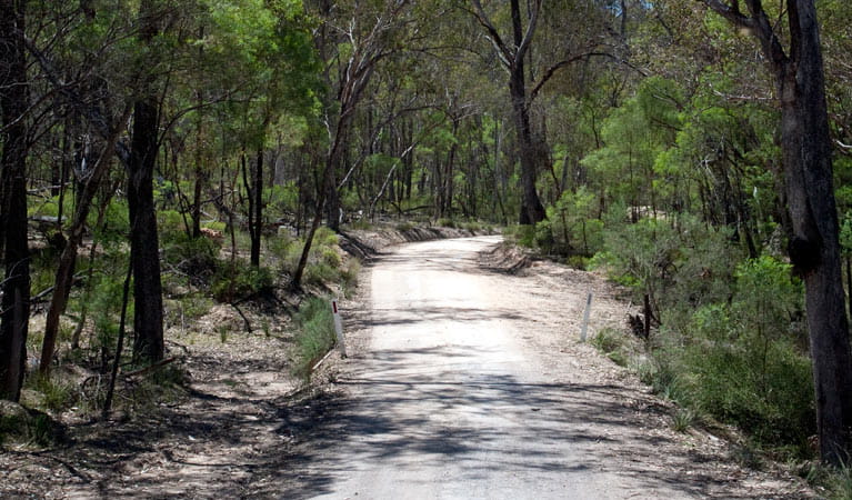 Goulburn River National Park | NSW National Parks