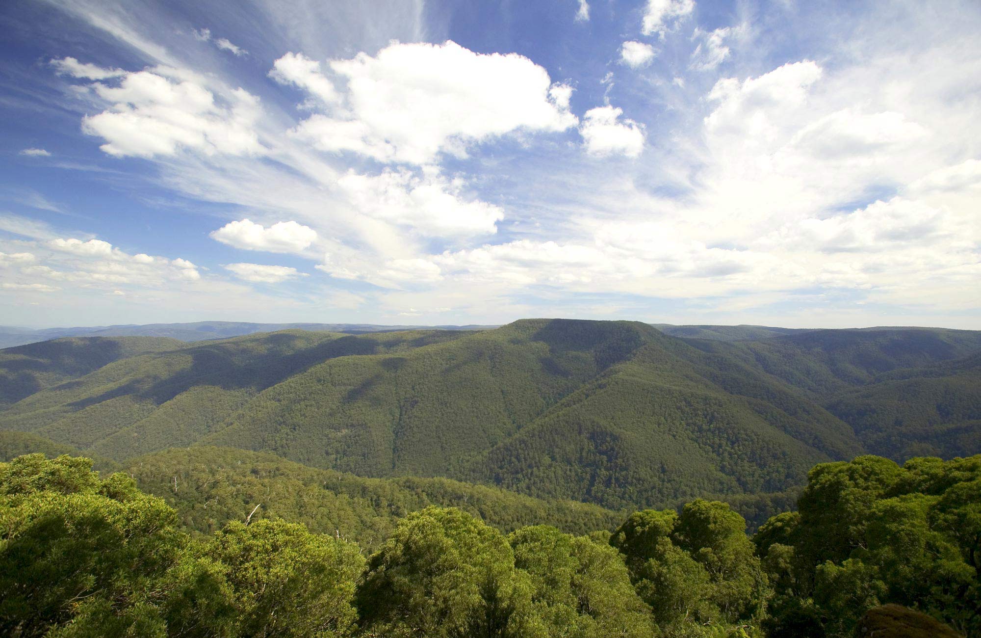 Barrington Tops National Park | NSW National Parks