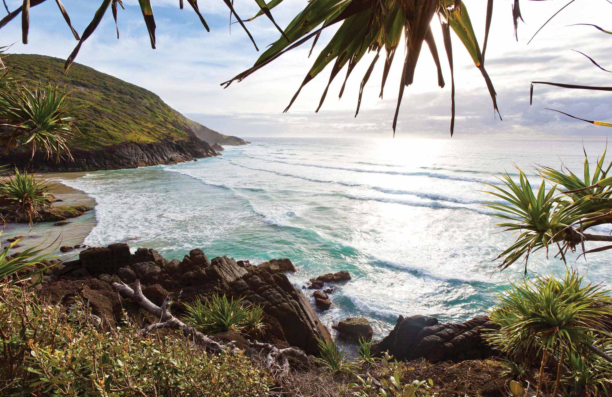 Hat Head National Park | NSW National Parks