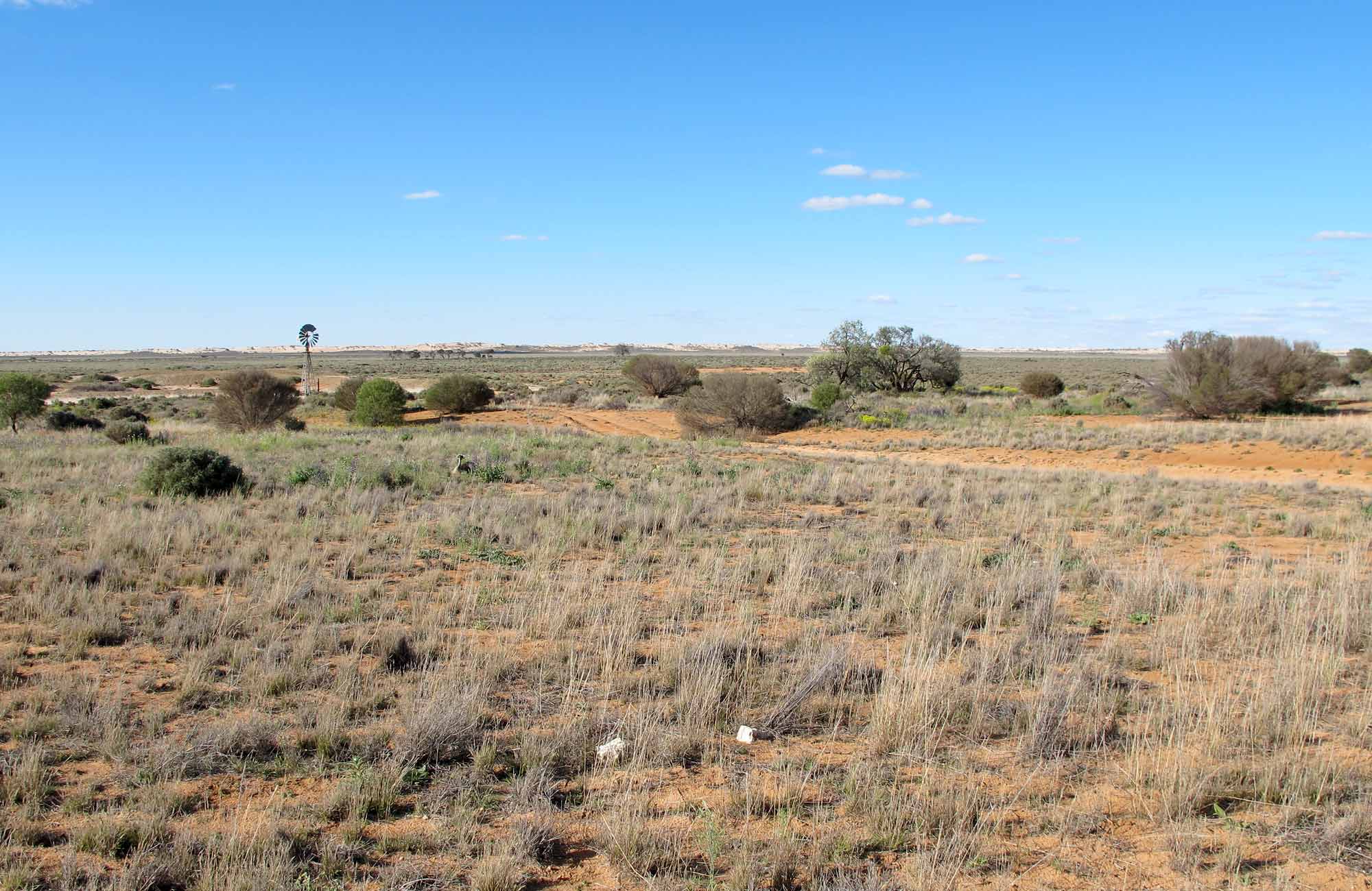 Mungo Self-guided Drive tour | NSW National Parks and Wildlife Service