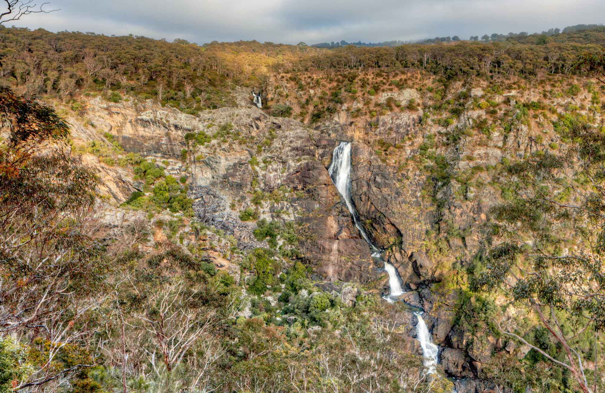 Falls walk | NSW National Parks and Wildlife Service