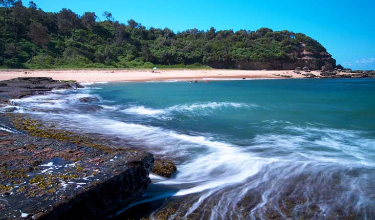 Bateau Bay Beach picnic area | NSW National Parks