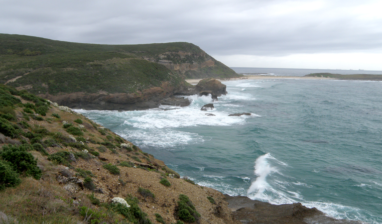 Munmorah State Conservation Area | NSW National Parks